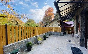 Apartment Carol Private Yard With Barbeque And Parking